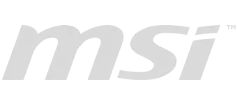 MSI