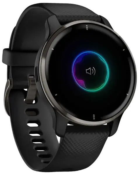 Смарт-часы Garmin Venu 2 Plus Slate Stainless Steel Bezel with Black Case and Silicone Band (010-02496-11)