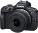 Фотоапарат Canon EOS R100 kit 18-45mm + 55-210mm IS STM (6052C036/6052C023)