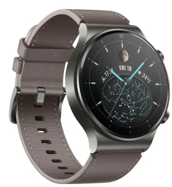 Смарт-годинник HUAWEI Watch GT 2 Pro Classic (55025792)