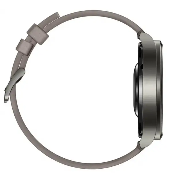 Смарт-годинник HUAWEI Watch GT 2 Pro Classic (55025792)