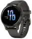 Смарт-часы Garmin Venu 2S Slate Bezel with Graphite Case and Silicone Band (010-02429-10)