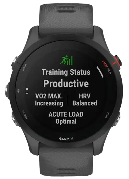 Смарт-часы Garmin Forerunner 255 Slate Gray (010-02641-00/10/43)