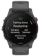 Смарт-часы Garmin Forerunner 255 Slate Gray (010-02641-00/10/43)