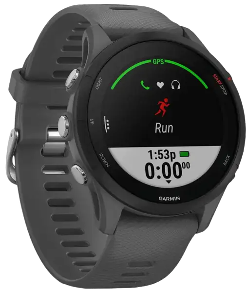 Смарт-часы Garmin Forerunner 255 Slate Gray (010-02641-00/10/43)