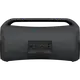Портативные колонки Sony SRS-XG500 Black (SRS-XG500B)