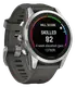 Смарт-часы Garmin Fenix 7S Pro Solar Silver w. Graphite Band (010-02776-00/01)