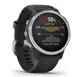 Смарт-годинник Garmin Fenix 6S Solar Silver with black band (010-02409-00)