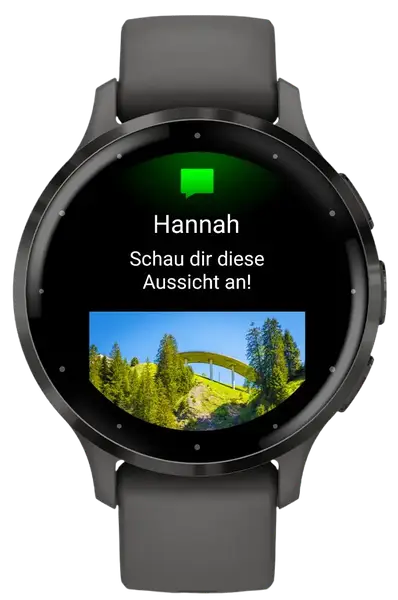 Смарт-часы Garmin Venu 3S Slate S. Steel Bezel w. Pebble Gray Case and S. Band (010-02785-00)