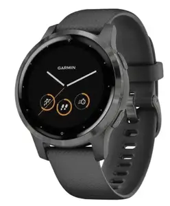 Смарт-годинник Garmin vivoactive 4S Black/Slate (010-02172-13/010-02172-11)