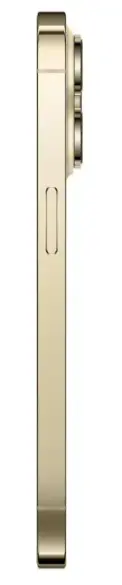 Смартфон Apple iPhone 14 Pro 1TB Gold (MQ2V3)