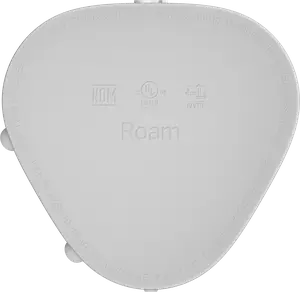 Портативная колонка Sonos Roam White (ROAM1R21)