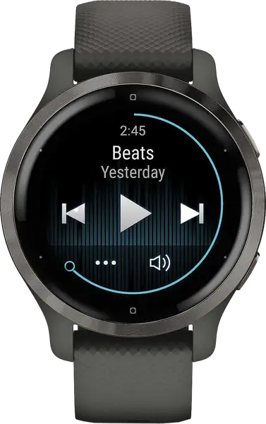 Смарт-часы Garmin Venu 2S Slate Bezel with Graphite Case and Silicone Band (010-02429-10)