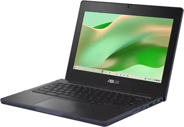 Ноутбук ASUS Chromebook N100/8GB/64/ChromeOS (CR1104CGA-N00200)