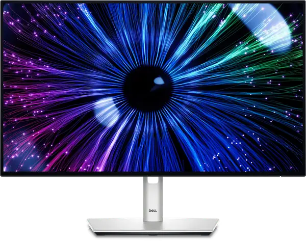 Монитор Dell U2424HE (210-BKJF)