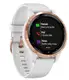 Смарт-годинник Garmin vivoactive 4S White/Rose Gold (010-02172-23/22/21)