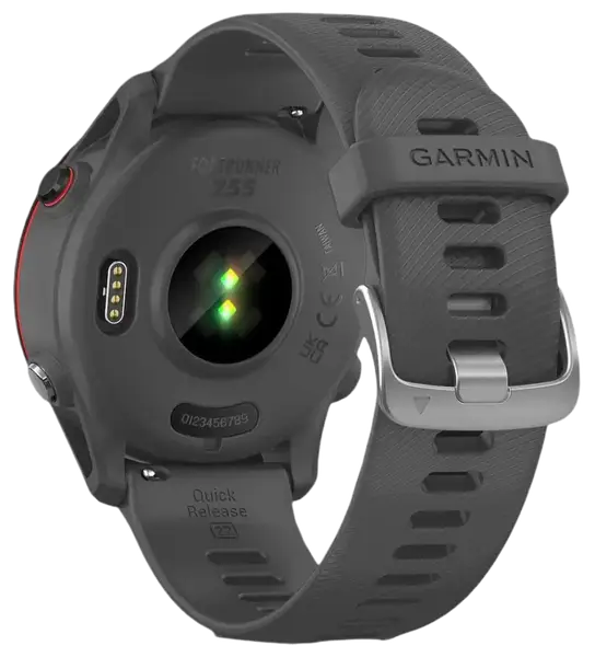 Смарт-часы Garmin Forerunner 255 Slate Gray (010-02641-00/10/43)