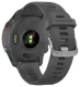 Смарт-часы Garmin Forerunner 255 Slate Gray (010-02641-00/10/43)