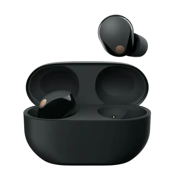 Бездротові навушники Sony WF-1000XM5 Black (WF1000XM5B.CE7)