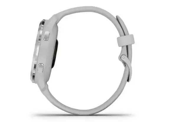 Смарт-годинник Garmin Venu 2S Silver Stainless Steel Bezel with Mist Gray Case and Silicone Band (010-02429-12/02)