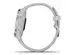 Смарт-годинник Garmin Venu 2S Silver Stainless Steel Bezel with Mist Gray Case and Silicone Band (010-02429-12/02)