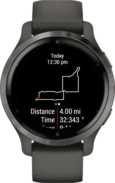 Смарт-часы Garmin Venu 2S Slate Bezel with Graphite Case and Silicone Band (010-02429-10)