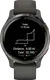Смарт-часы Garmin Venu 2S Slate Bezel with Graphite Case and Silicone Band (010-02429-10)