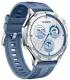 Смарт-часы Huawei Watch GT 5 Blue 46mm (Vili-B19W)