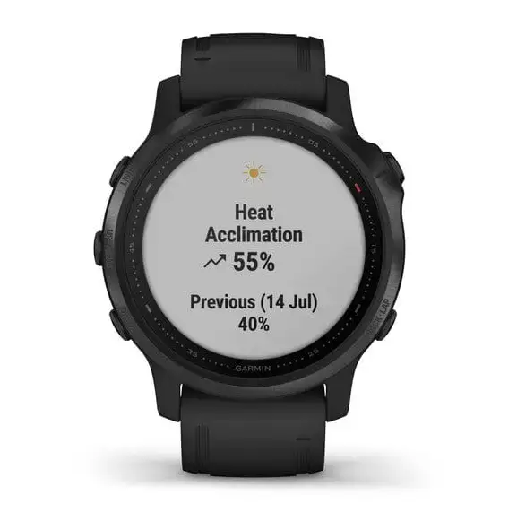 Смарт-годинник Garmin Fenix 6S Pro Black With Black Band (010-02159-14/010-02159-13)