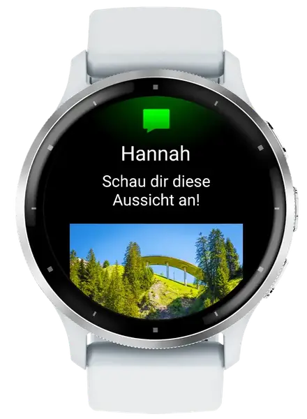 Смарт-часы Garmin Venu 3 Slate S. Steel Bezel w. White Case and S. Band (010-02784-00)