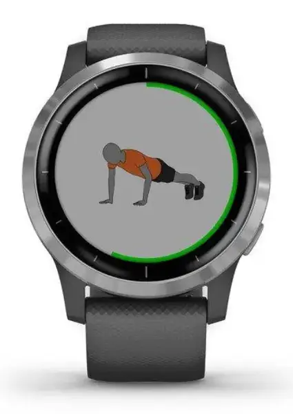 Смарт-годинник Garmin vivoactive 4 Shadow Gray/Silver (010-02174-03/010-02174-01)