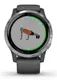 Смарт-годинник Garmin vivoactive 4 Shadow Gray/Silver (010-02174-03/010-02174-01)