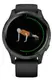 Смарт-годинник Garmin Venu Black/Slate (010-02173-13/010-02173-11)