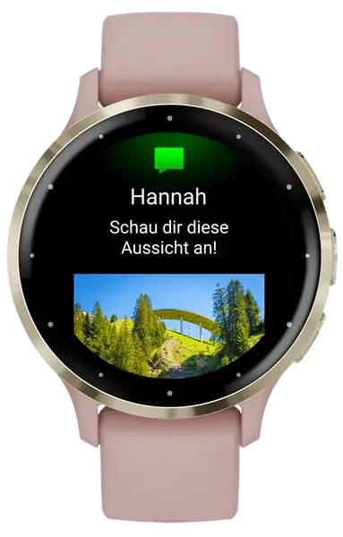 Смарт-годинник Garmin Venu 3S Soft Gold S. Steel Bezel w. Dust Rose Case and S. Band (010-02785-03/53)