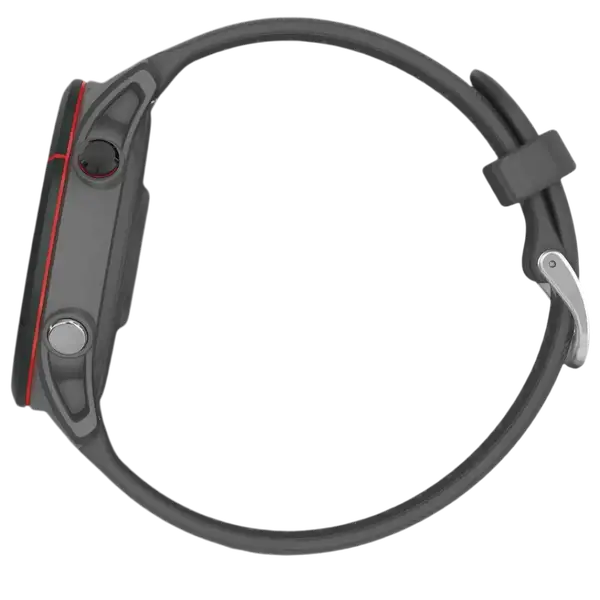 Смарт-часы Garmin Forerunner 255 Slate Gray (010-02641-00/10/43)