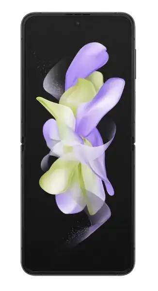 Смартфон Samsung Galaxy Flip4 8/256GB Graphite (SM-F721BZAH)