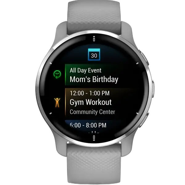 Смарт-часы Garmin Venu 2 Plus Silver S. Steel Bezel w. Powder G. Case and S. Band (010-02496-00/10)