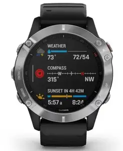 Спортивний годинник Garmin Fenix 6 Silver (010-02158-00)