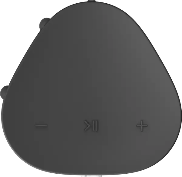 Портативная колонка Sonos Roam SL Black (RMSL1R21BLK)