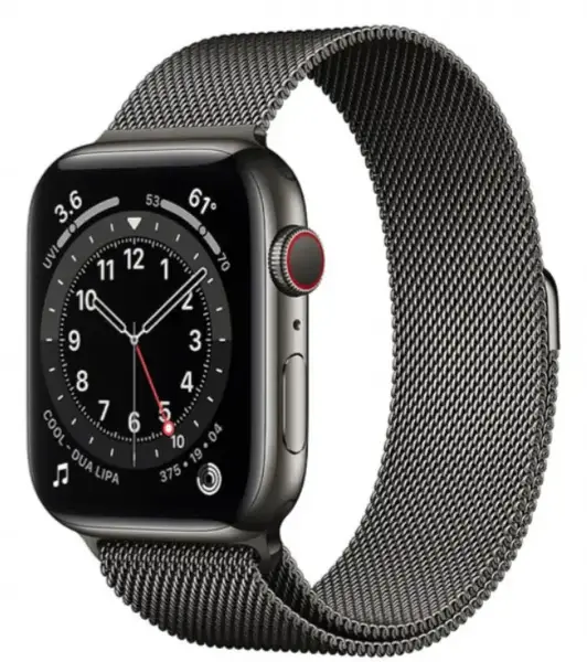Смарт-годинник Apple Watch Series 6 GPS + Cellular 40mm Graphite S. Steel Case w. Graphite Milanese L. (MG2U3+M06Y3)