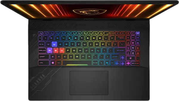 Ноутбук MSI Crosshair 17 HX Ultra 7-255HX/16GB/1TB RTX5060 (D2XWFKG-008XPL)