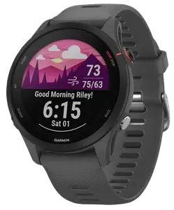 Смарт-часы Garmin Forerunner 255 Slate Gray (010-02641-00/10/43)