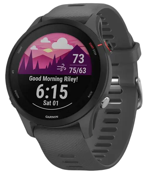 Смарт-часы Garmin Forerunner 255 Slate Gray (010-02641-00/10/43)
