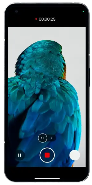 Смартфон Nothing Phone (1) 8/256GB White