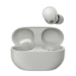 Бездротові навушники Sony WF-1000XM5 Silver (WF1000XM5S.CE7)