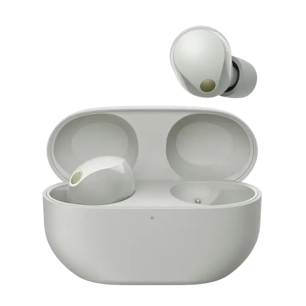 Бездротові навушники Sony WF-1000XM5 Silver (WF1000XM5S.CE7)