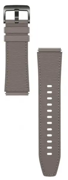 Смарт-годинник HUAWEI Watch GT 2 Pro Classic (55025792)