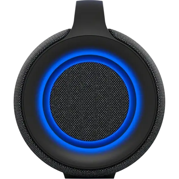 Портативные колонки Sony SRS-XG500 Black (SRS-XG500B)