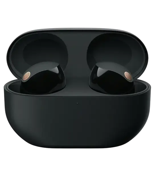 Бездротові навушники Sony WF-1000XM5 Black (WF1000XM5B.CE7)