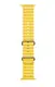 Смарт-годинник Apple Watch Ultra Titanium/Yellow Ocean Band LTE (MQG13)